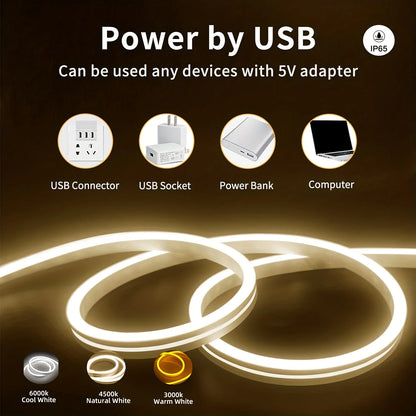 LED Strip Neon Light USB DC Dimmable